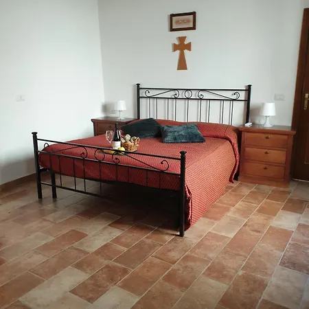 Sul Cammino Di Francesco